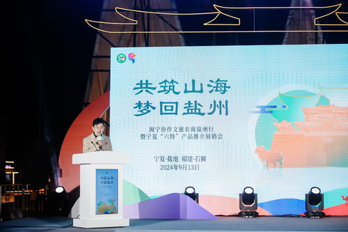 闽宁情深 文化艺术交流与旅游推介点亮泉州