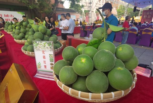 化橘红文化艺术交流暨封坛活动在化州举行 推动文化交流与产业发展